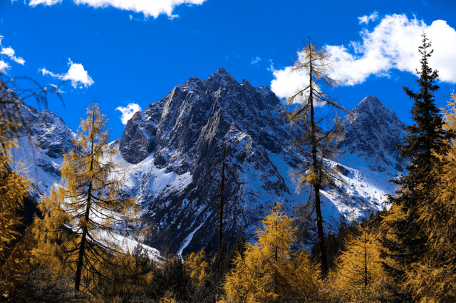 免门票丨毕棚沟献给全国师生们的秋日礼物！