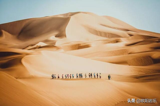 秋季的新疆，一草一木皆风景！