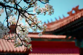 礼亲王代善第2子硕讬的子孙，被开除宗籍后，日子过得怎么样？图片