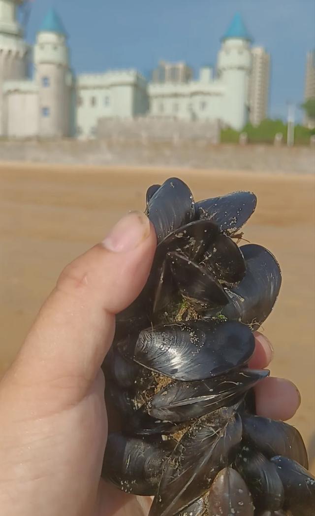 威海影视城曾人气也非常火爆，海水清澈位置好不知何时能回到从前