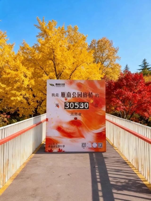 雁南公园亮新景！“枫红映雁塔”第三届幸福雁塔枫叶季火热进行中