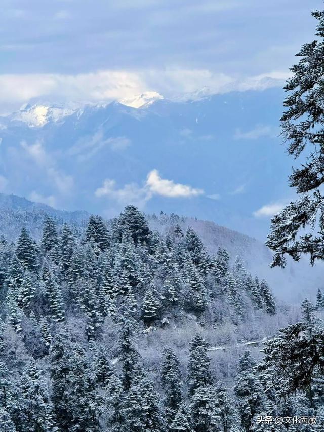 看一眼，惊艳一生！可惜你不知道，下雪后的西藏究竟有多美！