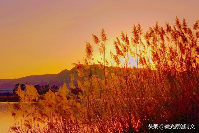 一路繁花，温暖时光。