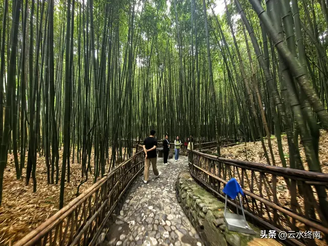 蜀道上的大人物，没有一个不来这里拜谒，但我是个看热闹打酱油的