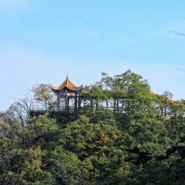 秋冬遛娃“药”新鲜!能吃能玩还能“养”,这条游玩路线一站式拿捏