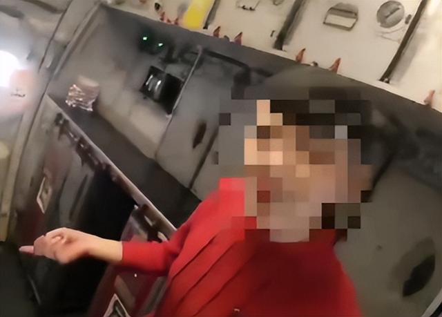 刁难乘务员的宋某"社会性死亡"：更多黑料被扒，曾有空姐被逼辞职