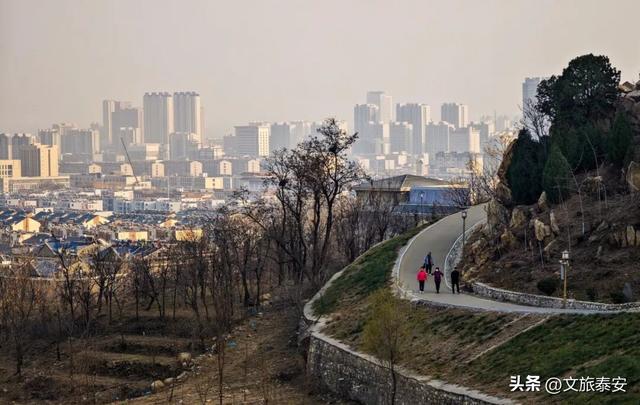 Citywalk必打卡！快来泰安这处公园，领取「浪漫可爱」的心灵治愈指南！
