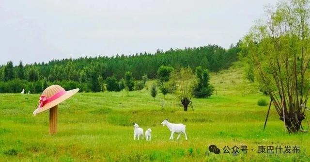 2025，康巴什的“便(biàn)宜(yì)”藏不住！