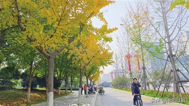 南阳金色之约，走起！