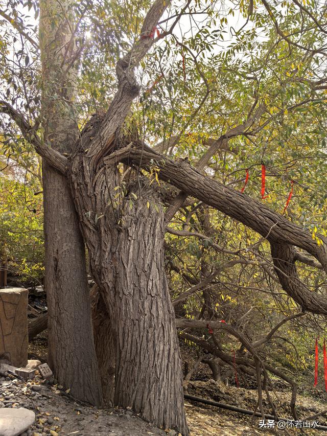 2025环南疆沙漠铁路背包自由行日记(3)---新藏公路零起点叶城打卡