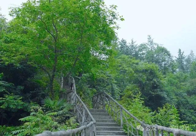 有美景有美食！绵竹这条避暑旅游线路，超级好玩又凉快......