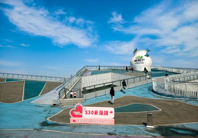 100%出片！郫都蝴蝶村彩色油菜花海，进入最美花期