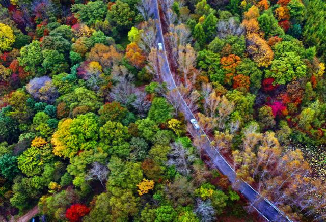 从G331与G334，遇见不一样的吉林延边