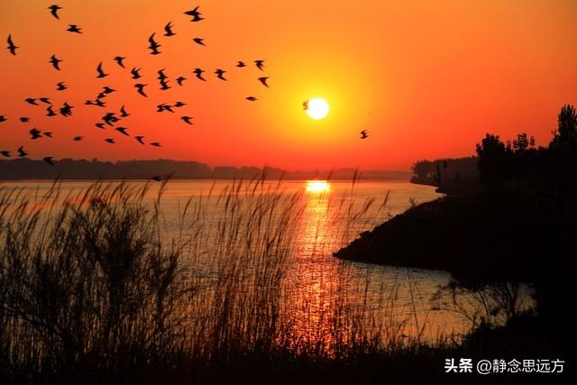 河南人去了东营和滨州，直言不讳：东营人和滨州人气质截然不同！