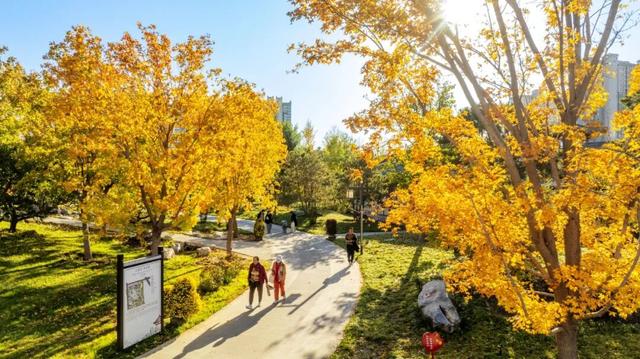 打卡定州限定秋景！