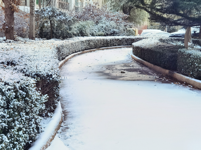 漫步黄河之滨幽静的小路