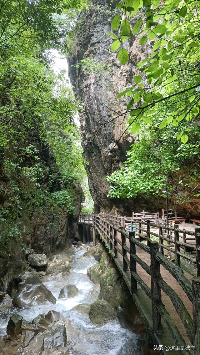 带着老爸乘宣威客运巴士去尼珠河大峡谷