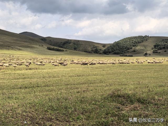 北上大草原第5站：内蒙古乌兰布统