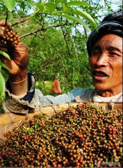 花江记忆