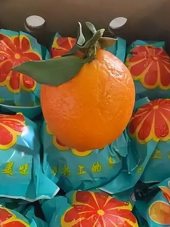 村糖会｜山林徒步·摘柚夺金～文君山野生态美食文化季即将欢乐启幕