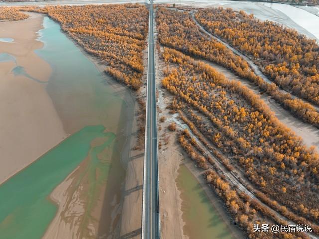 470万亩胡杨林带你秋游大美新疆