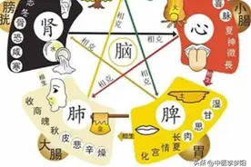 五脏和则百病消，送你5个穴位，调和五脏，避免各种小毛病图片