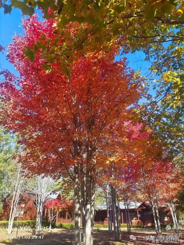 青岛即墨马山寻趣:一座地质公园的秋日私语|申艳娟