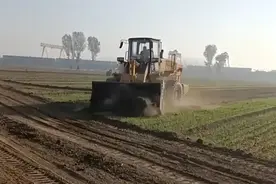 长城热点 | 河南滑县高速公路建设非法取土？村民：小麦都长出来了图片