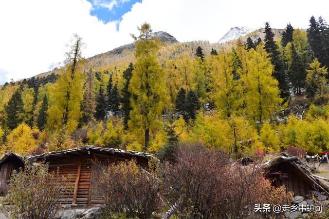 深秋走进理小路