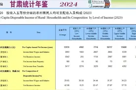 甘肃省收入最高的20%的人收入具体是多少？图片