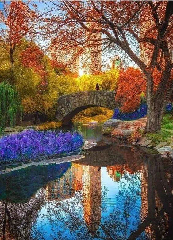 醉人的风景，总是让人心旷神怡