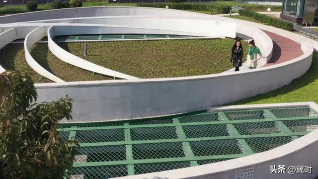 海外博主的雄安日记——绿色之城，生长在蓝绿之间