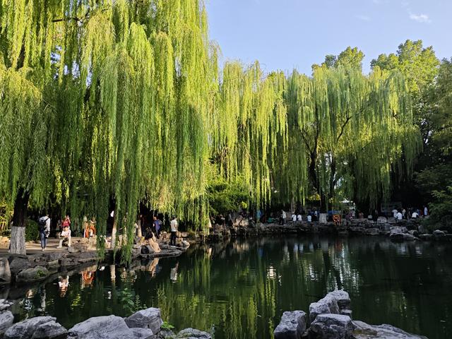 为什么说，自由行是高级旅游，跟团游是低级旅游？