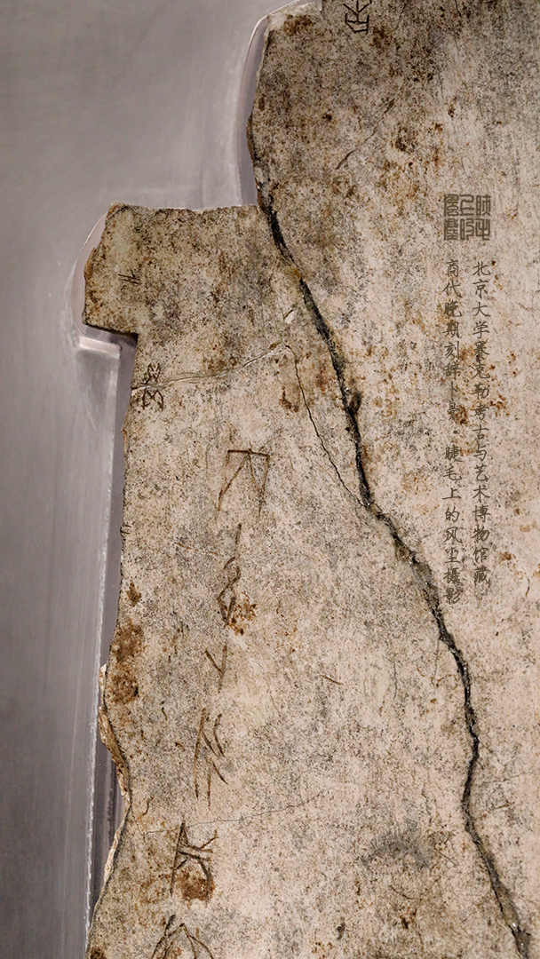 北京大学馆藏探秘：商代晚期刻辞卜骨，解锁千年占卜密码