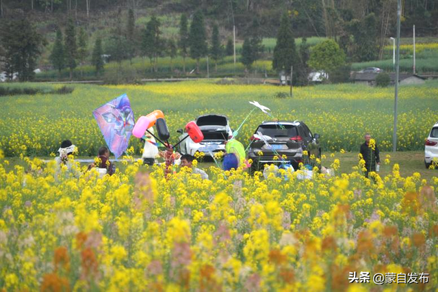 云南春日“花式”炸场！丨有一种叫云南的生活之365天