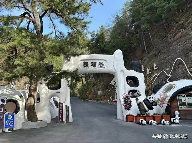 冲！2026佛坪茱萸花海踏春跑报名火热开启