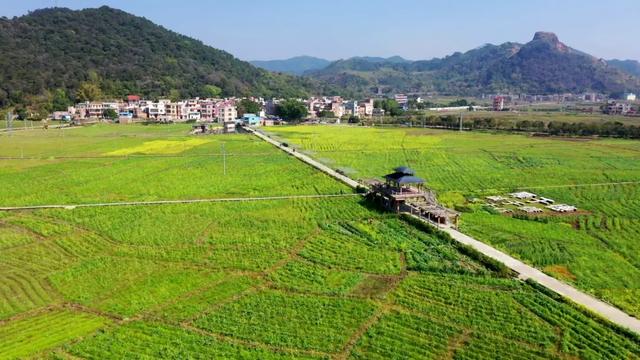 龙母文化赋能德庆农文旅融合发展,让“流量”稳稳变“留量”!