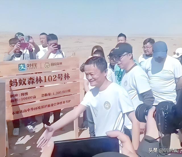 马云斥巨资在沙漠里种树，承诺每年1亿棵，10年过去了，情况如何