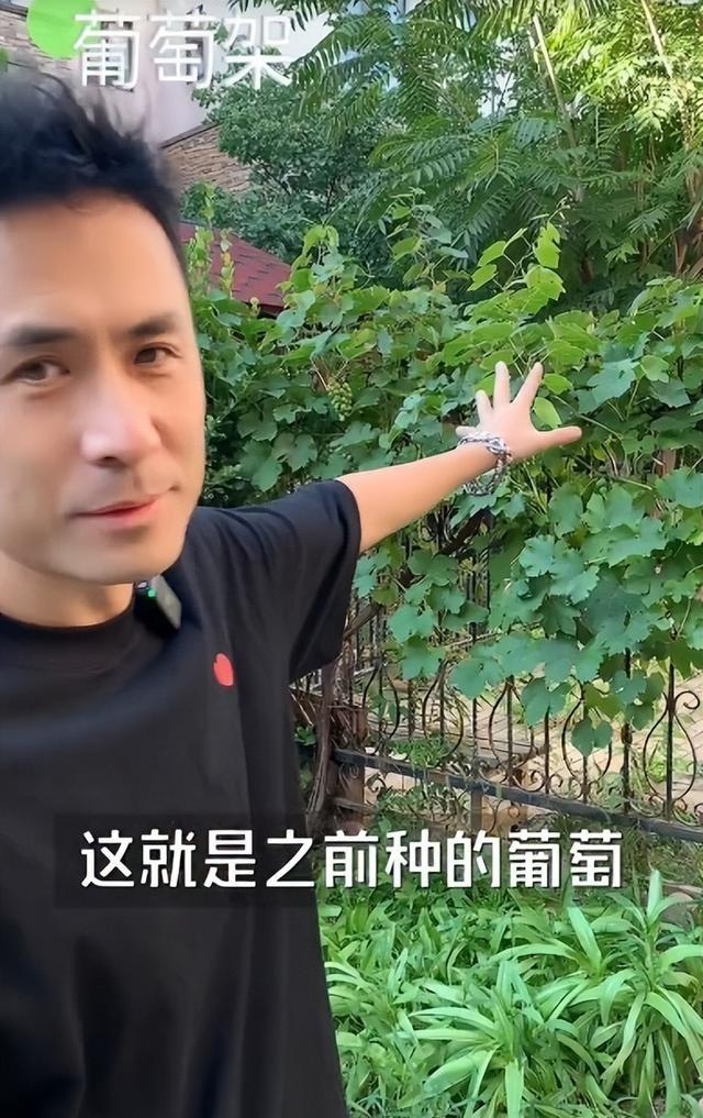 歌手“黄征”的院子火了，仅一菜园子就圈粉百万，一看就不是摆拍