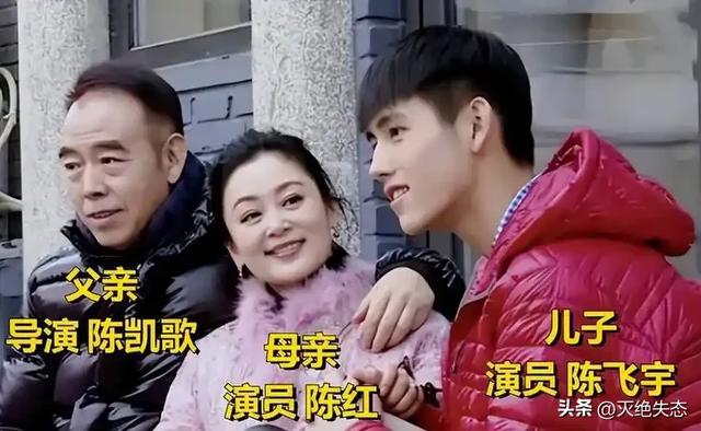 长得丑、演戏烂，爹妈“强捧不红”的4位星二代，注定走不远