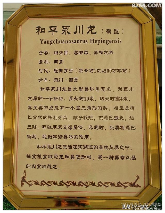 山东行游影记（26）—平邑天宇自然博物馆（一）