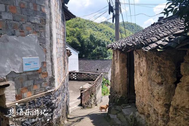 浙江宁波雷虎岩下的古村，犹如被遗忘的山中明珠，堪比世外桃源