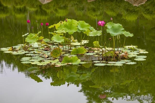 两性关系：为什么65岁后，女人比男人更希望这些，你真的懂吗