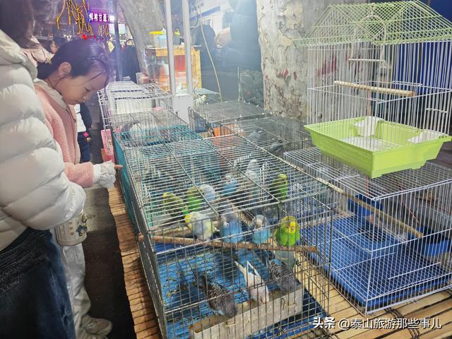 泰安：它是当地人夜晚最爱去溜达的地方之一，深受外来游客青睐