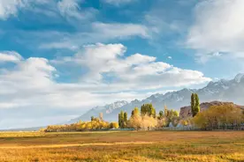 《狗娃》（二）图片