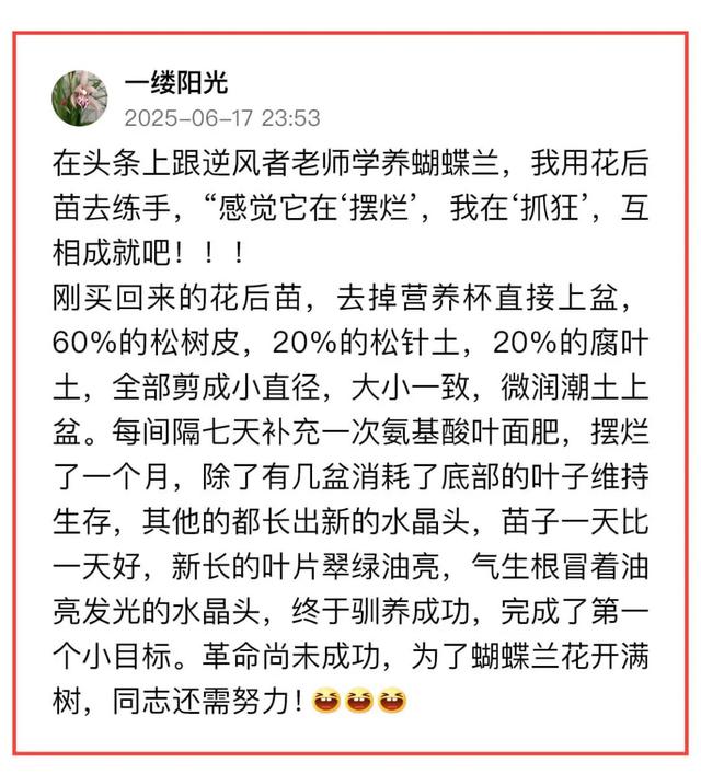 敢不敢来参加头条园艺pk赛