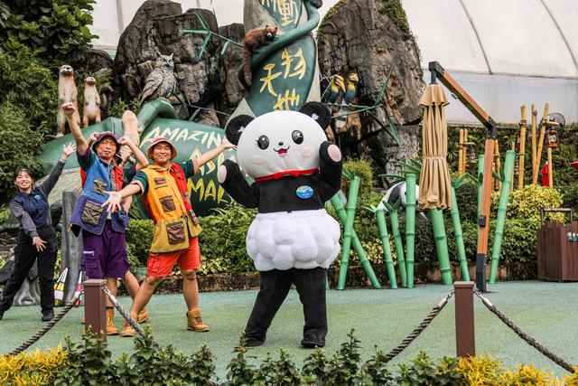 香港海洋公园，缆车俯瞰山海，探梦幻水族馆，假日亲子游的好去处