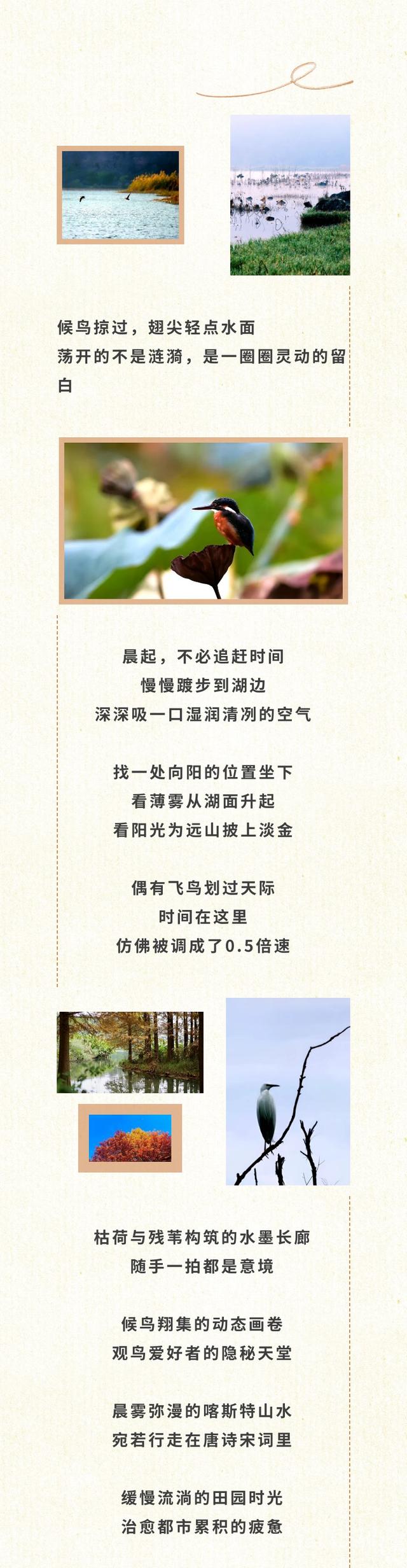 普者黑冬日水墨