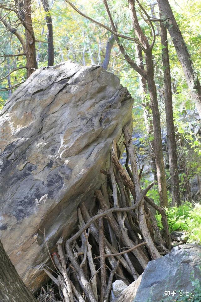 在八大处，寻到了北京最美的秋