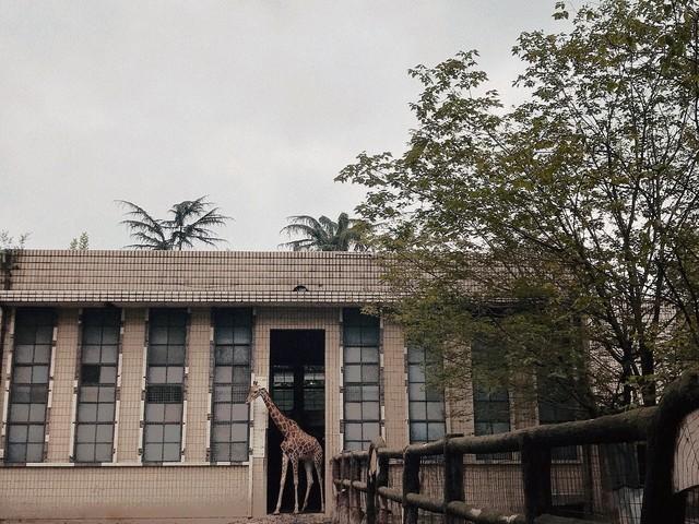 我和男闺蜜去看午夜场电影，散场后，却看见老公在影院门口